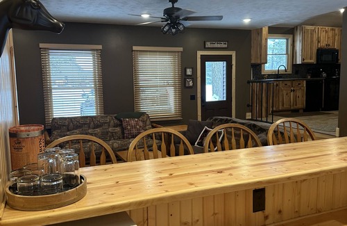 Mecosta House | School Section Lake Cozy Cabin