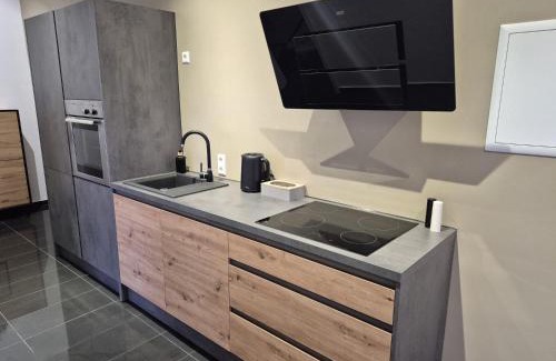 Oberdorla Apartment | Schwarzwald City Loft 2