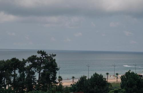 Gonio Hotel | Scorpio Hotel Gonio