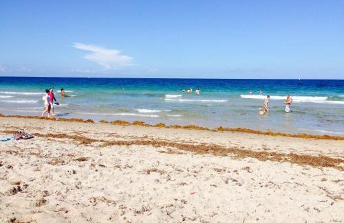 East Fort Lauderdale Hotel | SEA ECHO APPARTMENT MOTEL