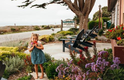 San Simeon Hotel | Sea Otter Inn