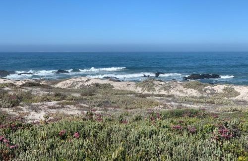 Yzerfontein Apartment | Sea-renity