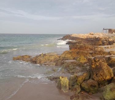 Al Hadd House | Sea Turtles Guest House #2 Ras Al Hadd