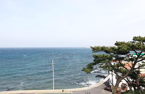 Aewol House | Sea View
