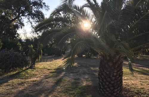 Santa-Maria-Poggio Villa | SEA VIEW VILLA