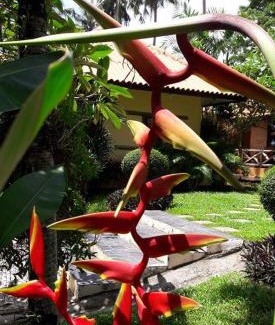 Ko Chang Hotel | Seabreeze Hotel Kohchang