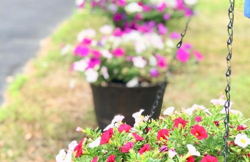 Ogunquit - Wells Hotel | Seacoast Motel