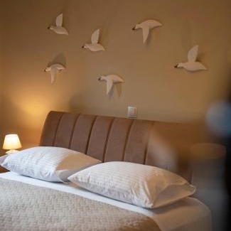 Ikaria Apartment | Seagulls' House