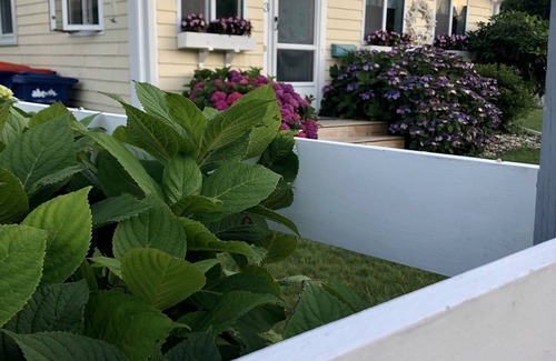 Fairhaven House | Seaside Cottage Steps to Beach/Close to Ferry to Martha's Vineyard & Nantucket
