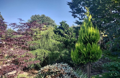 Svaneke Apartment | Seaside Idyll in Svaneke - By Traum Ferienwohnungen