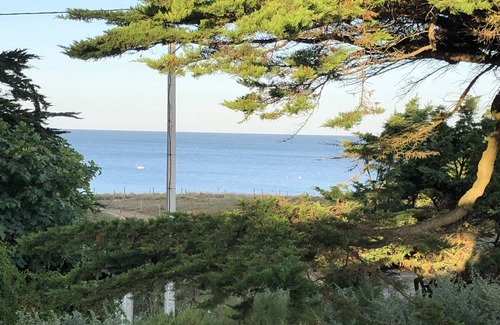 Noirmoutier-en-l'Ile House | Seaside vacation home, very functional, pets welcome