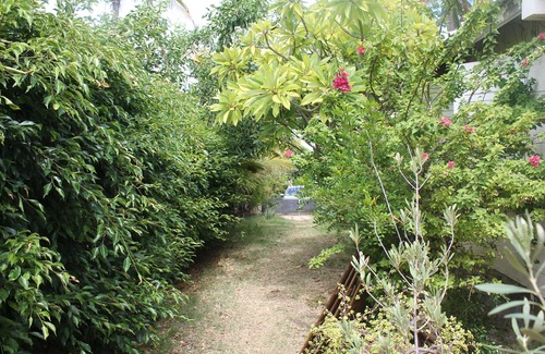 St Gilles-les-Bains Villa | Seasonal rental 200m from the lagoon and beach at La Saline les Bains. La Réunion