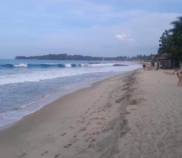 Pottuvil Division 2 Resort | Seawood Guest House &Resturent