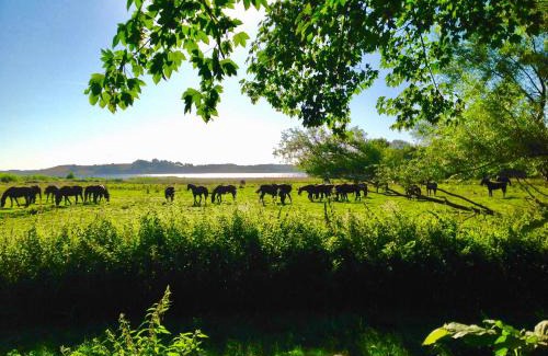 Nibe House | Sebber Kloster