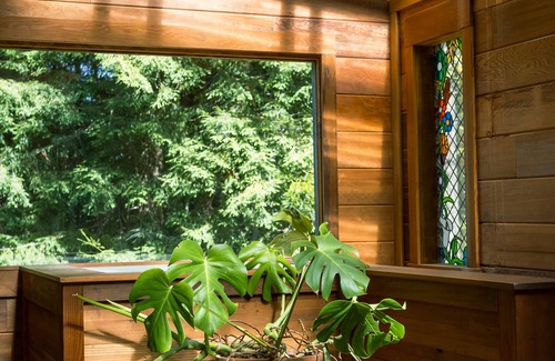 Albion Cabin | Secluded and Private Oasis in the Redwoods
