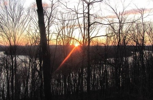 English Cabin | Secluded Cabin High Above Patoka Lake, 15 Minutes to French Lick