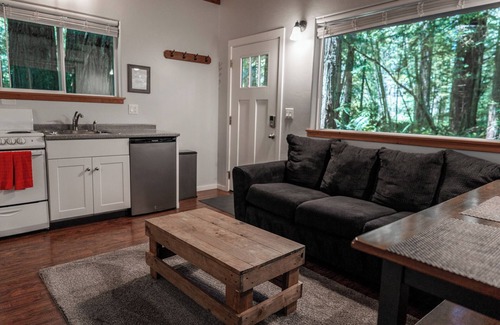 Crescent City Cabin | Secluded Cabin in Redwood Forest