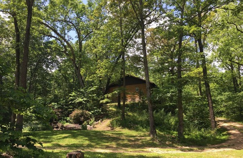 Eureka Springs Cabin | Secluded Charming Cabin in the woods, dog friendly, stone fireplace, jucuzzi tub