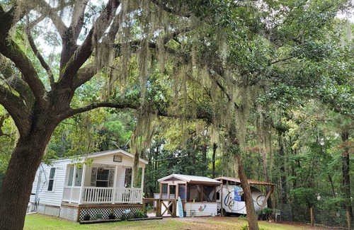 Edisto Island Cottage | Secluded Cozy Cottage on 5 acres 10 minutes from Edisto Beach SC