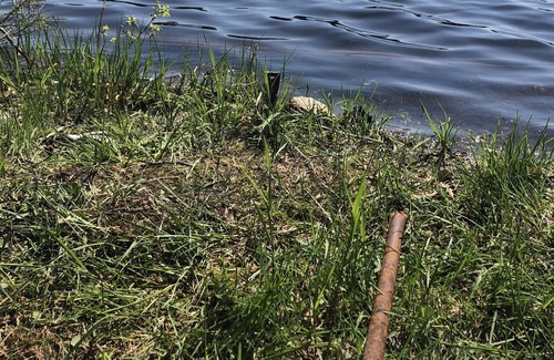 La Peche Cabin | Secluded lake-front cabin for relaxing time