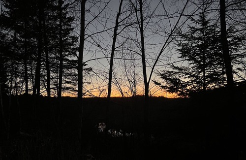 La Peche Cabin | Secluded lake-front cabin for relaxing time