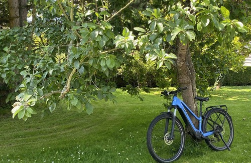 La Ferte-en-Ouche Cottage | Secluded old house, private garden, pets welcome