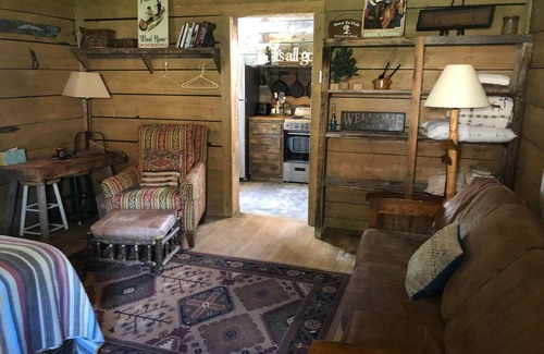 Dubois Cabin | Secluded studio-style cabin on the rushing Wind River tucked under cottonwoods