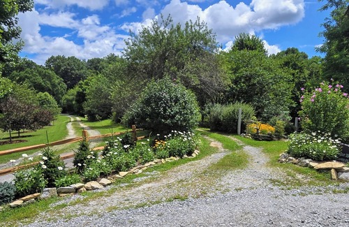 Hendersonville Cottage | Secluded Treasure by the Woods in Apple Country