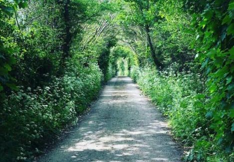 Mylor Apartment | Secluded woodland annex between Mylor and Flushing