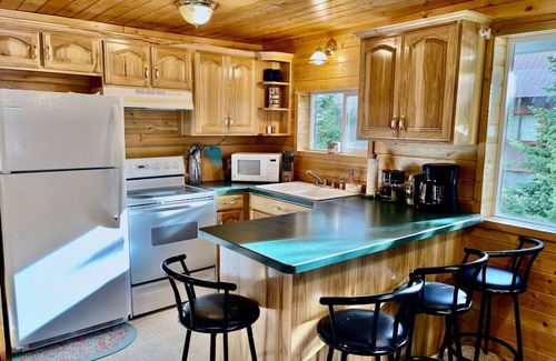 Island Park Apartment | Secret Cabin w/Dock - Fire Pit - Near Yellowstone