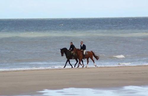 Blonville-sur-Mer Apartment | Secret Garden joli cottage rénové proche mer