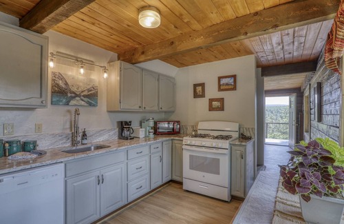 San Juan River Village House | See Fall's Changing Colors! San Juan Cabin: Cozy Mountain Getaway, Fire Pit, Close to Wolf Creek!