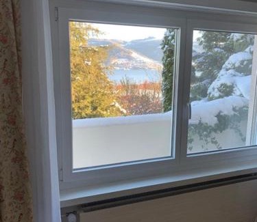 Gwatt Apartment | Seeblick Gwatt