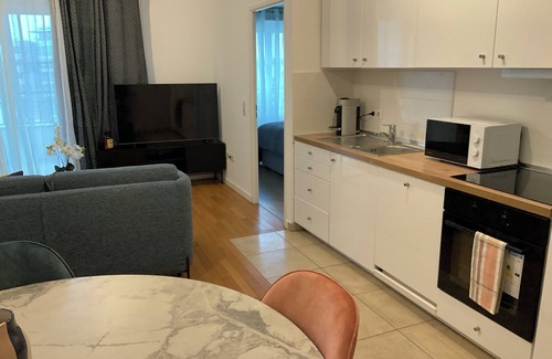 Clamart Apartment | Seemingly comfortable and modern