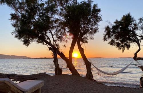 Pounta Hotel | Seesoo Paros Beachfront Resort