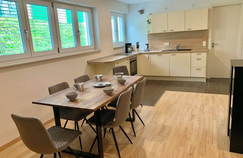 Langenargen Apartment | SeeVital vacation apartment - 4 minutes to Lake Constance. Quiet location with terrace.