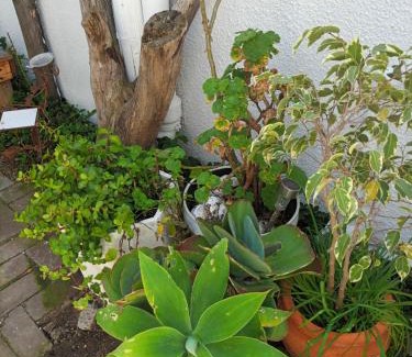 Sandbaai Apartment | Self Catering unit 7, Sandbaai