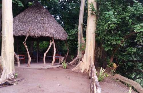 Mloka Bed & Breakfast | Selous Adili Forest Camp