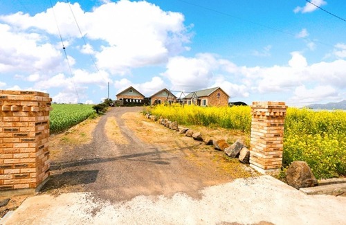 Andeok House | Seoguipo Umblanc Pension