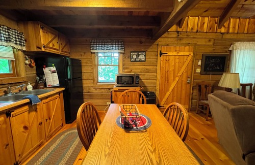 Flat Hollow Marina Cabin | Serene cabin with dock/swim platform in charming Speedwell