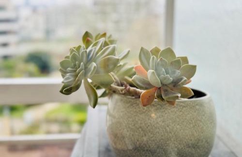 Cœur de Ville House | Serene Retreat in Paris La Defense,Your Gateway to the Heart of Parisian Charm