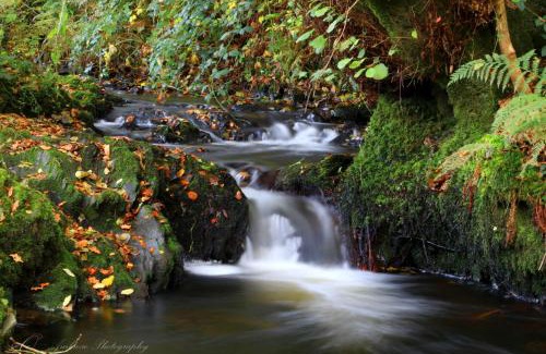 Pentrefelin Other | Serenity Lodge
