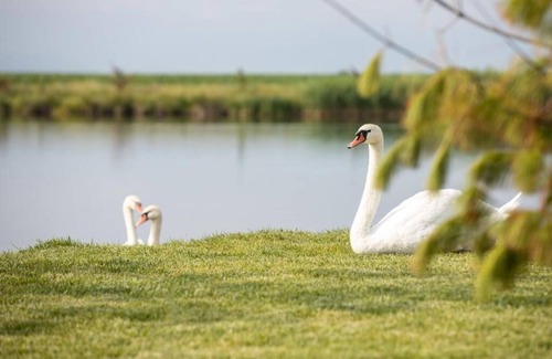 Codlea Hotel | Serenity Resort