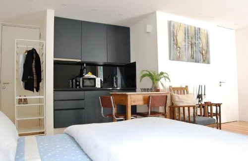 Lordelo do Ouro e Massarelos Apartment | Serralves 1108 -Estudio 0