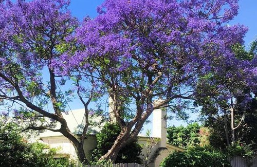 McLaren Vale Bed & Breakfast | Settlers Cottage