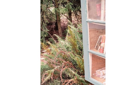 Seattle Metro Area Cottage | Seward Park Wisteria Cottage