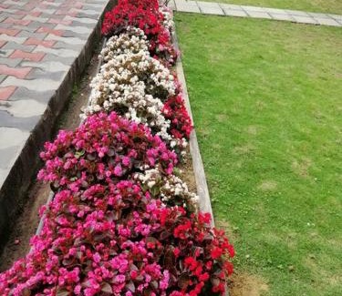 Haputale Apartment | Shanthi Villa Home-stay