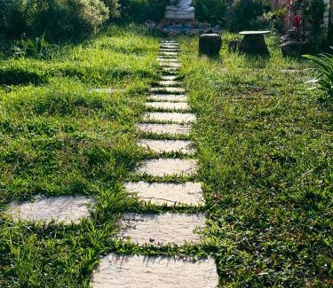 Arambol Resort | shanti MIZU