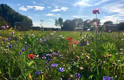 Bedfield House | Shepherds Hut 8