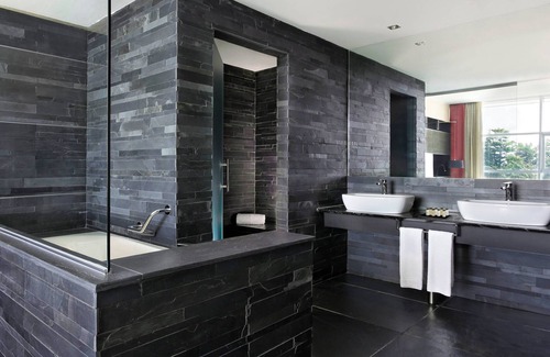 Ferno Hotel | Sheraton Milan Malpensa Airport Hotel & Conference Center